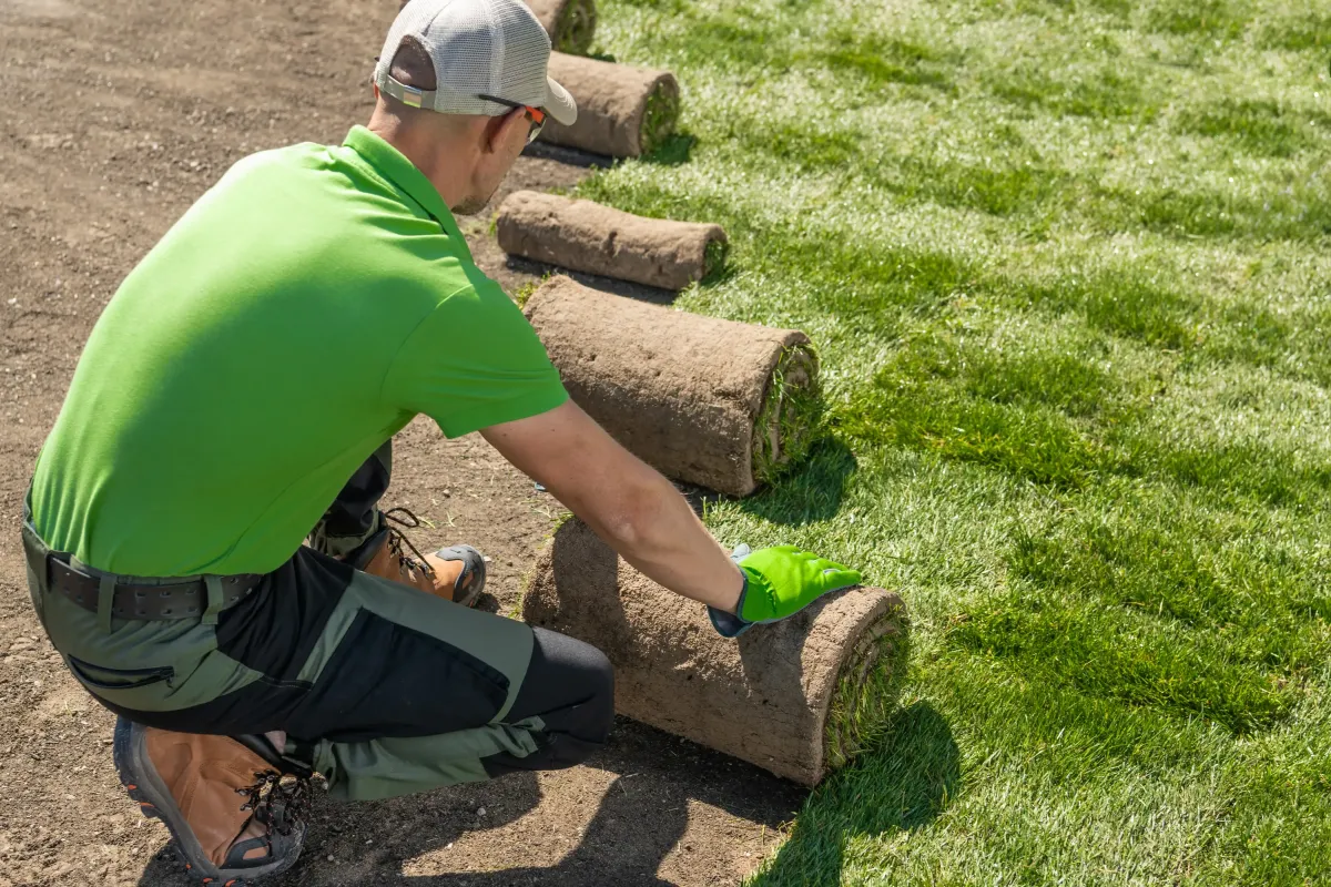 Man installing sod in a landscaped area, showcasing lawn care services and sod installation expertise by Sorce Landscape Contracting in Cranberry Township, PA.