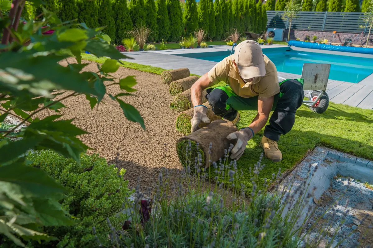 Professional sod installation in Glenshaw, PA. A landscaper lays fresh sod to create a lush, green lawn, enhancing outdoor spaces with expert turf installation services.