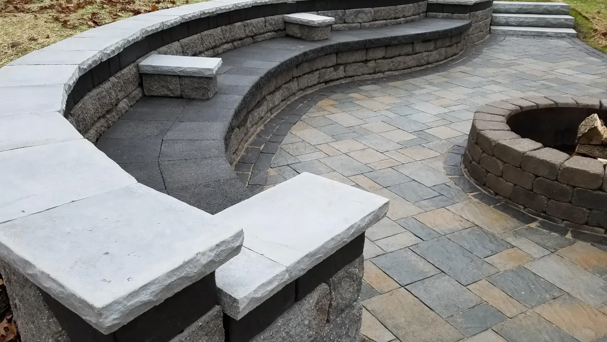 Interactive web application interface showcasing user-friendly design and international phone input for enhanced engagement.