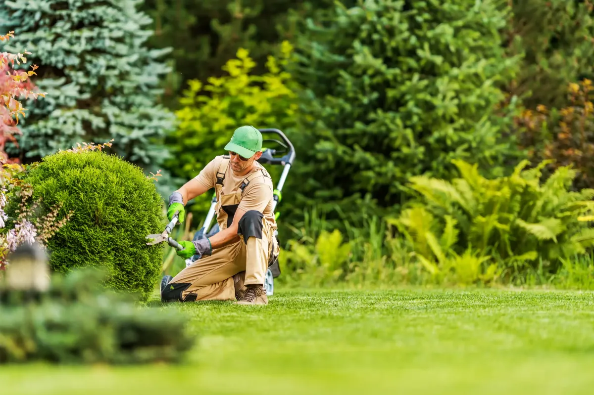 Professional landscaping services in Glenshaw, PA. A skilled landscaper trims bushes and maintains a lush, green lawn, ensuring a well-manicured outdoor space for homeowners.