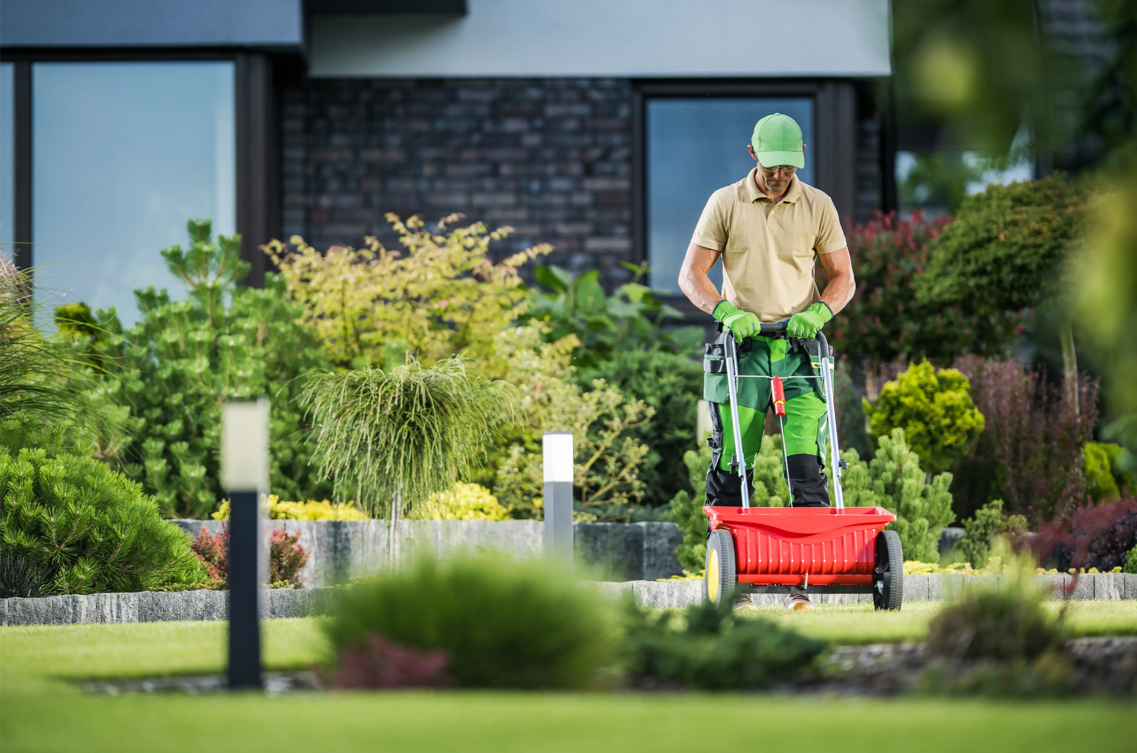 Professional lawn care in Glenshaw, PA. A landscaper applying fertilizer with a spreader to maintain a healthy, green lawn. Expert grass treatment for vibrant outdoor spaces.